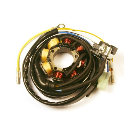 ELECTROSPORT UZWOJENIE ALTERNATORA (STATOR) ZE ŚWIATŁAMI HONDA CRF 250R (04-09)