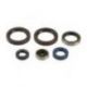 Athena, sada gufer motoru, KTM SX 125/144/150/200 98-15, EXC 125/200 98-16