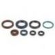 Athena, sada gufer motoru, KTM SXF 250 06-12, EXCF 250 05-13