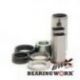 Bearing Worx, sada ložisek zadní vidlice, Kawasaki KXF 250 04-05, Suzuki RMZ 250 04-06 (28-1115) SAK70015