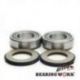 Bearing Worx, ložiska řízení, BMW S1000RR 10-13,Suzuki GSX-R 600/750 97-09,DL 650 V-STORM 04-'12,SV 650S (2
