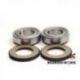 Bearing Worx, ložiska řízení, BMW S1000RR 10-13,Suzuki GSX-R 600/750 '97-09,DL 650 V-STORM '04-'12,SV 650S