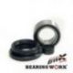 Bearing Worx, sada ložisek a gufer předního kola, Honda TRX 300 FW 88-00, TRX 420 FA/FE/FM 07-14 (25-1003)
