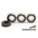 Bearing Worx, sada ložisek a gufer zadního kola, Kawasaki KX 125/250 97-02 (25-1224)