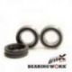 Bearing Worx, sada ložisek a gufer zadního kola, KTM 85/105/125/200/250/300/360/450 (25-1273)