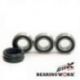 Bearing Worx, sada ložisek a gufer předního kola, Kawasaki VN 900 '06-'14, zadního kola Suzuki RM 125 '92-'94, RM 250 '92-'95 (2