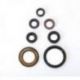 Athena, sada gufer motoru, Yamaha YFM 700 RAPTOR 06-18, YFM 700 R RAPTOR 07-18