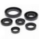 Winderosa (Vertex), sada gufer motoru, Honda TRX300 EX 93-08, TRX300 X 09