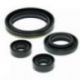 Winderosa (Vertex), sada gufer motoru, Suzuki LT-160 03-04, LT-160E 89-92, LT-F160 91-01