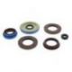 Winderosa (Vertex), sada gufer motoru, Polaris RANGER 900 CREW '13-15, RZR 4 XP 900 12-14, RZR XP