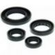 Winderosa (Vertex), sada gufer motoru, Honda TRX250 RECON 97-01