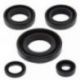 Winderosa (Vertex), sada gufer motoru, Kawasaki KFX50 03-06, Suzuki LT-A50 02-05