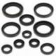 Winderosa (Vertex), sada gufer motoru, Honda TRX450R 04-05