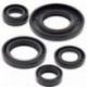 Winderosa (Vertex), sada gufer motoru, Yamaha TTR125 DRUM BRAKE 00-21,
