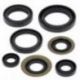 Winderosa (Vertex), sada gufer motoru, Yamaha YFB250FW TIMBERWOLF 94-00