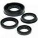 Winderosa (Vertex), sada gufer motoru, Polaris PREDATOR 50 04-06, PREDATOR 90 03-04, SCRAMBLER 50