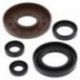 Winderosa (Vertex), sada gufer motoru, Honda TRX500FM 05-11, TRX500FPM 08-11, TRX500TM 05-06