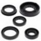 Winderosa (Vertex), sada gufer motoru, Polaris PREDATOR 90 05-06, SPORTSMAN 90 05-06