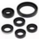 Winderosa (Vertex), sada gufer motoru, Kawasaki KFX450R 08-14