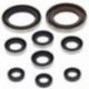 Winderosa (Vertex), sada gufer motoru, KTM XC 450 ATV 08-09, XC 525 ATV 08-09, Polaris OUTLAW 525