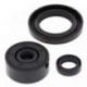 Winderosa (Vertex), sada gufer motoru, Yamaha XT250 08-21, YFM 250 RAPTOR 08-13