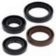 Winderosa (Vertex), sada gufer motoru, Polaris OUTLAW 110 16-21, OUTLAW 50 08-19, OUTLAW 90 07-16