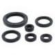 Winderosa (Vertex), sada gufer motoru, Honda TRX650 RINCON 03-05, TRX680 RINCON 06-21