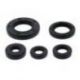 Winderosa (Vertex), sada gufer motoru, Honda TRX500FM 12-13, TRX500FM IRS 15-19, TRX500FM SOLID A