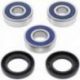 All Balls, sada ložisek a gufer zadního kola, Honda VT 600 C '88-'00, CBR 600 F '87-'90, CB 750 SEVEN FIFTY '91-'02, CB450SC`