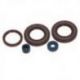 Centauro, sada gufer motoru, Husqvarna TE/WXE 350 '90-'95 , WXE 610 '90-'96 , TE 570