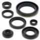 Winderosa (Vertex), sada gufer motoru, Suzuki RM250 89-93