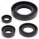Winderosa (Vertex), sada gufer motoru, Suzuki DR650SE 96-17