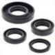 Winderosa (Vertex), sada gufer motoru, KTM MINI ADV 50 02-07, SR ADV 50 02-07