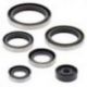 Winderosa (Vertex), sada gufer motoru, KTM SX250 03-16, EXC250 04-16, EXC300 04-16
