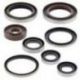 Winderosa (Vertex), sada gufer motoru, KTM SXF 250 05-12, EXCF250 06-13