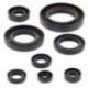 Winderosa (Vertex), sada gufer motoru, Honda TRX420 FA IRS 09-19, TRX420 FA 17-19, TRX420 FPA IRS 09-14,