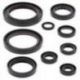 Winderosa (Vertex), sada gufer motoru, Honda CRF250R 10-17