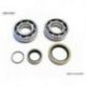 Bearing Worx, ložiska + gufera klikovky, Beta 2T 250/270/290/300 ALL, 250/300 RR '13-17 (NTN) (23.CBS73013)
