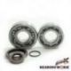 Bearing Worx, ložiska a gufera klikovky, Gas Gas EC 200/250/300 '10- (MADE IN JAPAN) (NTN)