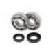 Bearing Worx, ložiska klikovky, Honda CR 80/85 '85-'07 (NTN) (24-1002)