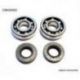 Bearing Worx, ložiska klikovky, Kawasaki KX 65/80/85, Suzuki RM 60/65 (NTN) (24-1006)