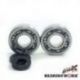 Bearing Worx, ložiska + gufera klikovky, Kawasaki KX 250 87-01 (MADE IN JAPAN) (NTN) (24-1010)