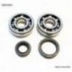 Bearing Worx, ložiska + gufera klikovky, Suzuki RM 80/85 89-16 (NTN) (24-1014)