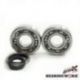 Bearing Worx, ložiska a gufera klikovky, Suzuki RM 250 96-02 (MADE IN JAPAN) (NTN) (24-1021)