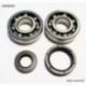 Bearing Worx, ložiska + gufera klikovky, Yamaha YZ 250 88-97 (NTN) (24-1027)