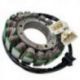 Electrosport, stator alternátoru, Kawasaki VN1700