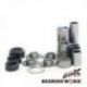 Bearing Worx, sada ložisek přepákování zadní vidlice, Suzuki LTR 450 06-11 (27-1150)