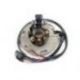 Electrex, stator alternátoru, Suzuki RM 125/250 '94-'96