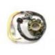 Electrex, stator alternátoru, se světly, Suzuki RMZ 250 (2003 ON), RMZ 450 ( 04- 05)