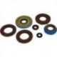 Winderosa (Vertex), sada gufer motoru, Polaris SPORTSMAN 325 ETX EFI 15, RANGER 325 ETX 15-16, HAWKEYE 32